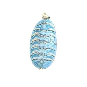 Chiton Mollusk Pendant